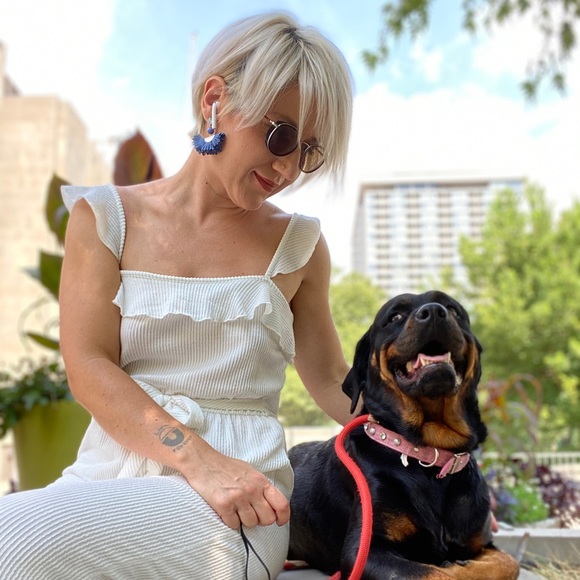 Meet your Posher, Rooney - Picture 1 of 1